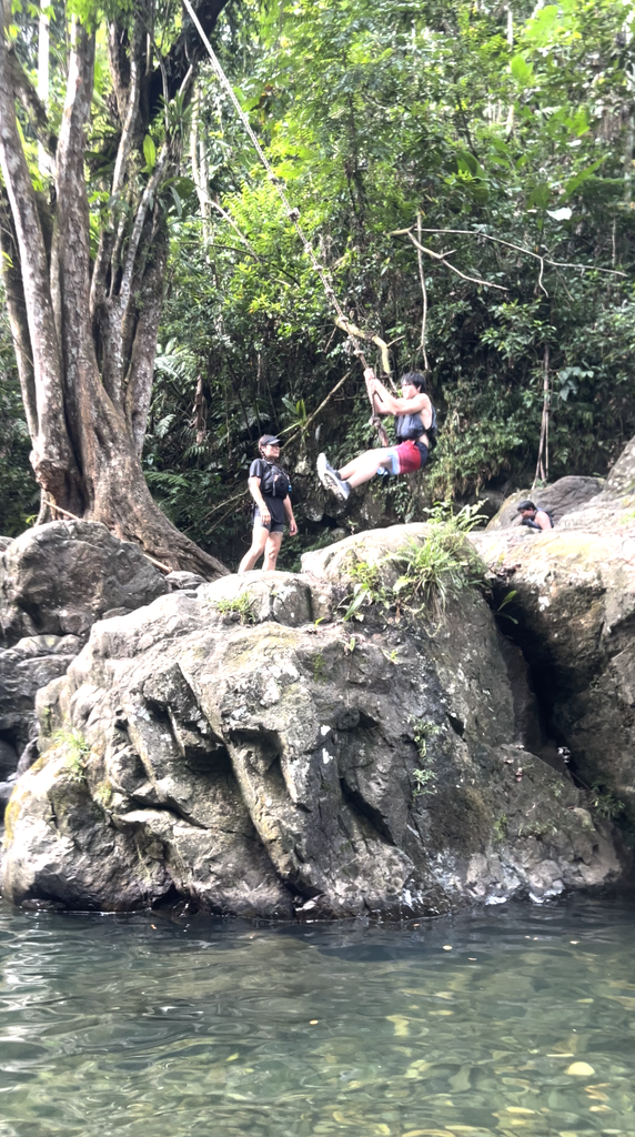 Person swinging from a rope over a rocky pool in the rainforest