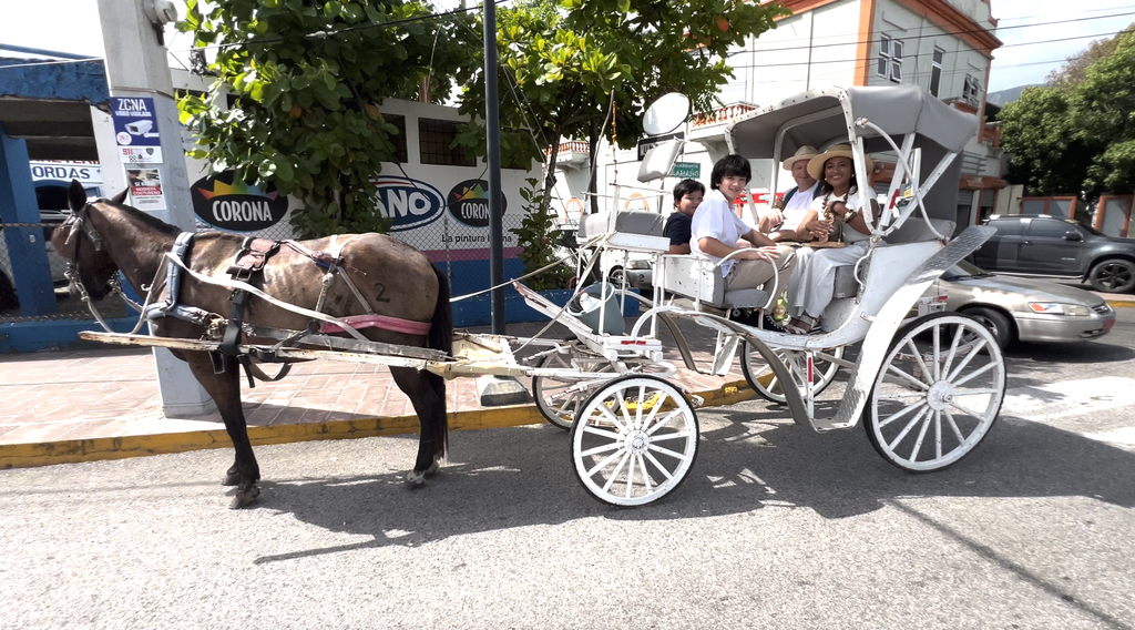 Horse-drawn white carriage on a street in Puerto Plata